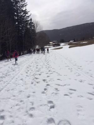 J0108 promenade dans la neige